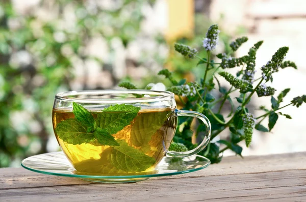 Tea with peppermint — Stock Photo, Image