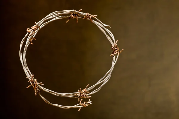 Crown of thorns — Stock Photo, Image