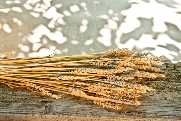 Sheaf of wheat — Stock Photo, Image