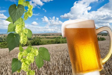 manzara ile bira cam