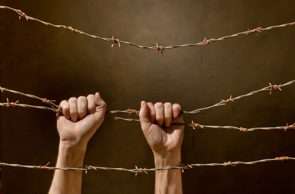 Hand behind barbed wire — Stock Photo, Image