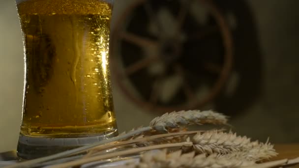 Wheat And Beer, Rotating  Glass, Flowing Drops — Stock Video