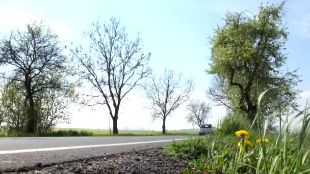 Radfahrer auf der Straße — Stockvideo