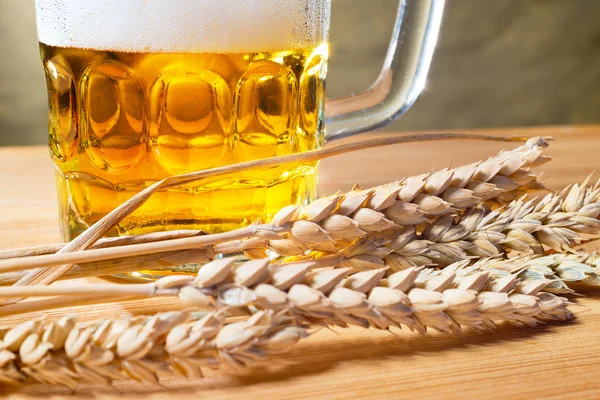 Birra e frumento — Foto Stock