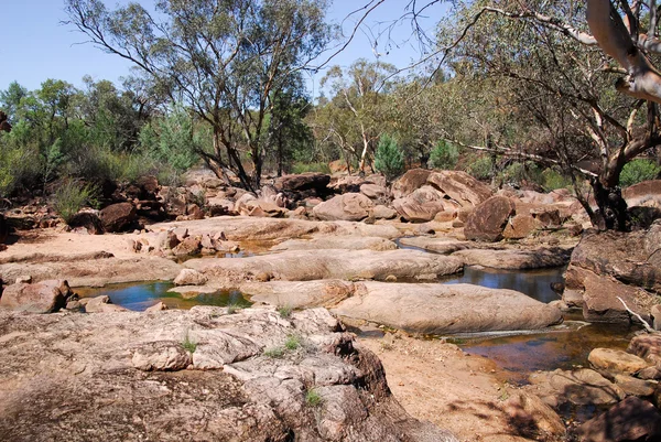 Creek in Gondabooka National Park — Stock Photo, Image