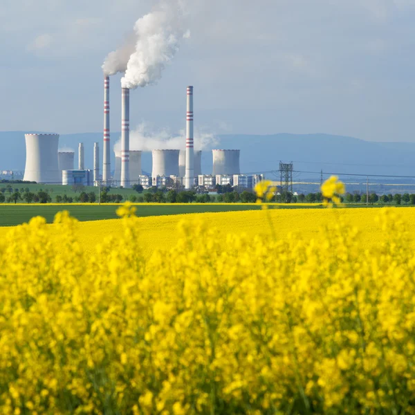 Field Of Rape With A Power Station Stock Image