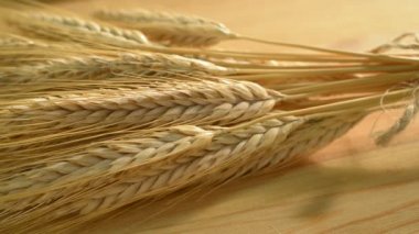 hop koniler ile arpa