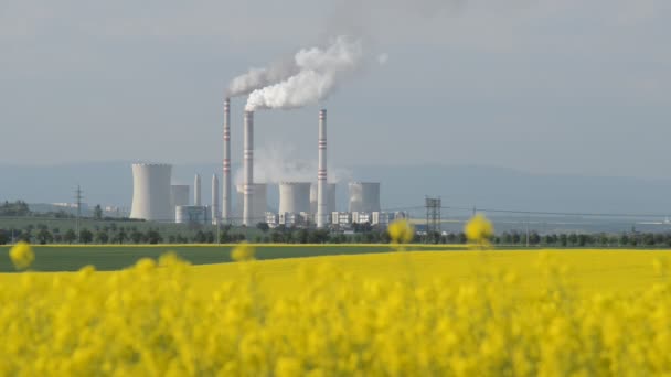 Campo de violación con una central eléctrica — Vídeos de Stock