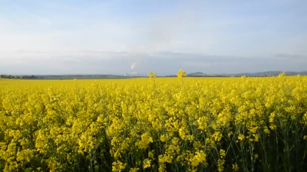 Champ de viol avec une centrale électrique 