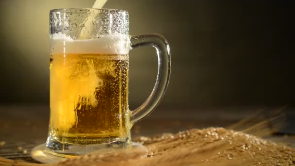 Пинта пива с ячменем — стоковое видео