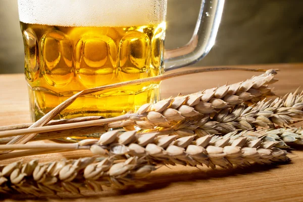 Пиво и пшеница — стоковое фото