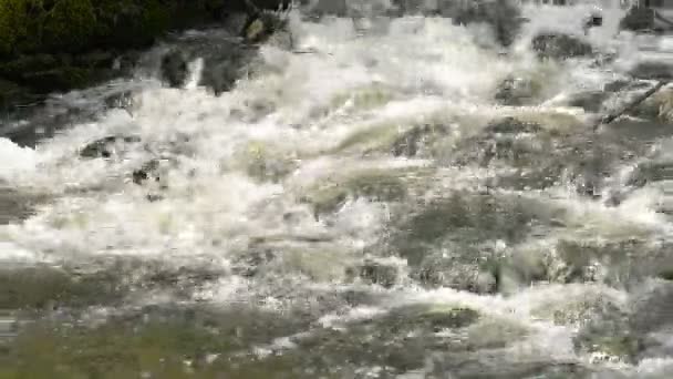 Detail of weir — Stock Video