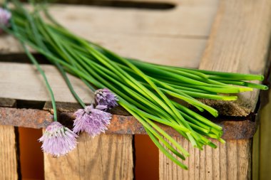 Chives ahşap tablo
