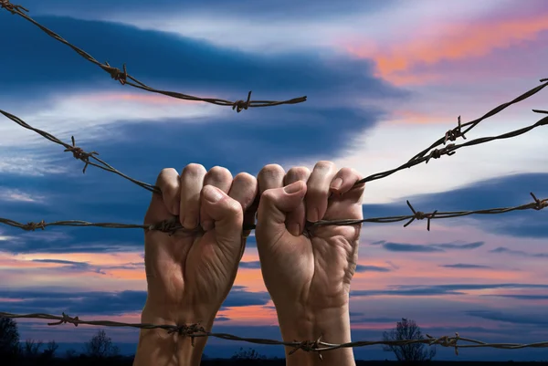 Hand behind barbed wire — Stock Photo, Image