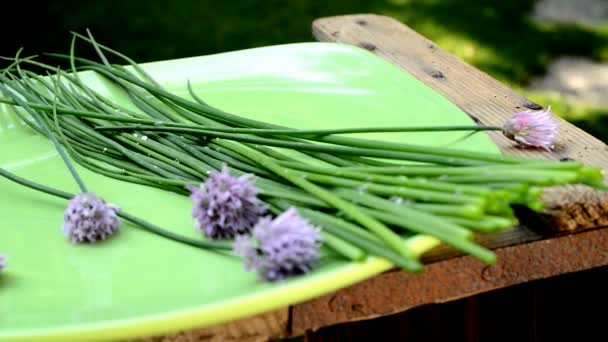 Bieslook in de tuin — Stockvideo