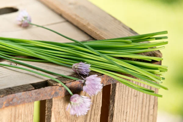 Cebolinha na mesa de madeira — Fotografia de Stock