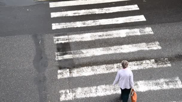 Top view on the pedestrian crossing — Stock Video