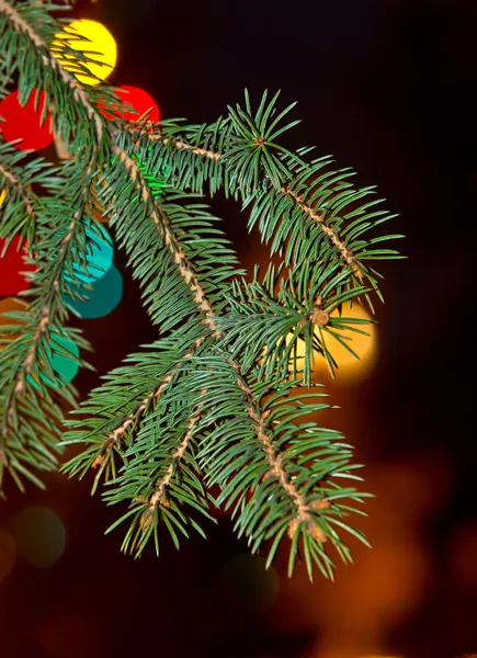 Detalle del árbol de Navidad — Foto de Stock