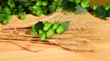 şerbetçiotu ve arpa malt sepet