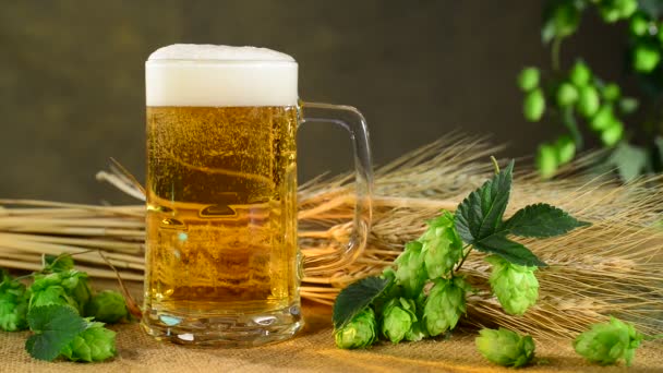 Aufsteigende Blasen im Bierglas mit Hopfen — Stockvideo