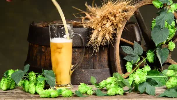 啤酒生产的原料 — 图库视频影像