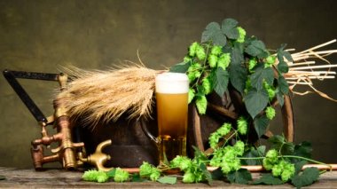 bira ve bira üretimi için ham maddeler