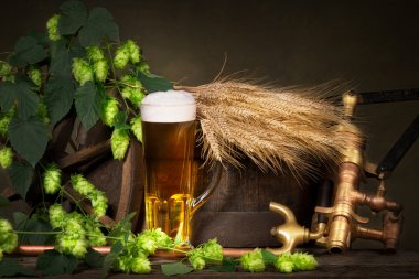 arpa ve hop koniler ile bira cam