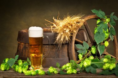 arpa ve hop koniler ile bira cam