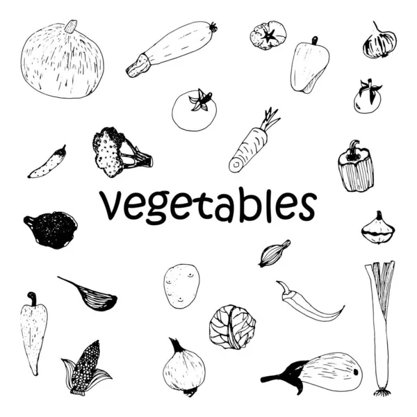 Una serie di scarabocchi vettoriali di verdure sane — Vettoriale Stock