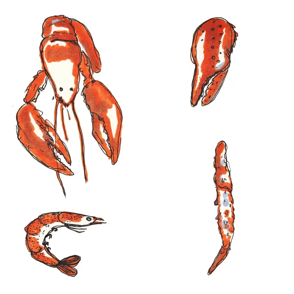 Watercolor set seafood shrimp claw phalanx crab — 图库照片