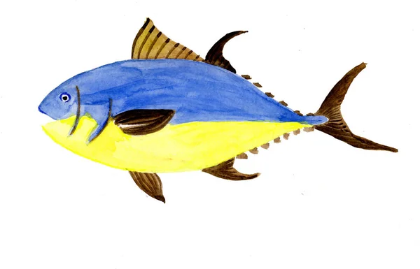 Suluboya sarı mavi değerli ticari balık ton balığı — Stok fotoğraf