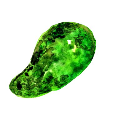 Resim: Beyaz üzerine bir yeşil avokado