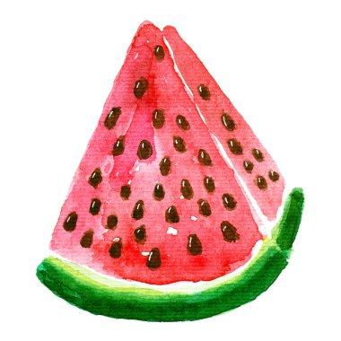Kırmızı olgun karpuzun suluboya çizimi.