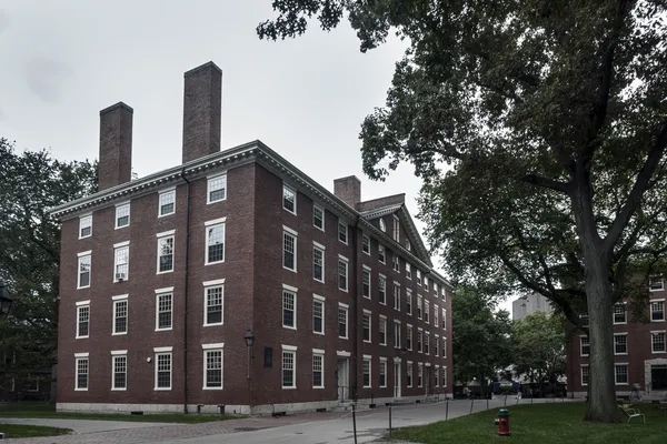 Harvard Üniversitesi