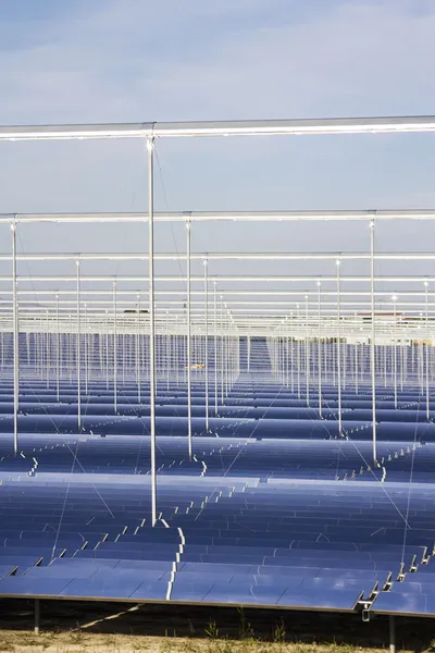 Énergie renouvelable : solaire : la nouvelle et la plus propre façon de produire — Photo