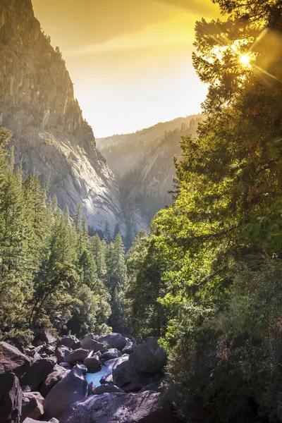Splendido torrente nel Parco Nazionale dello Yosemite — Foto Stock