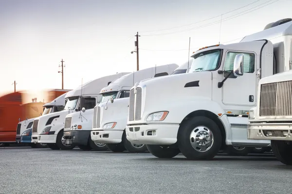 Different american trucks in a row — Stock Photo, Image