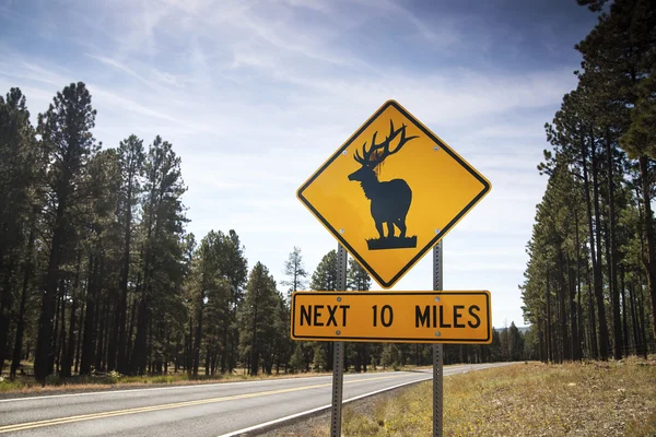 Jeleń droga znak ostrzegawczy, Stany Zjednoczone Ameryki — Zdjęcie stockowe
