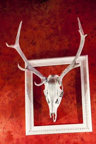 Antenne di cervo nella cornice — Foto Stock