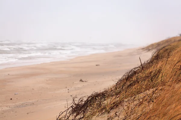 嵐の間に劇的な海岸 — ストック写真