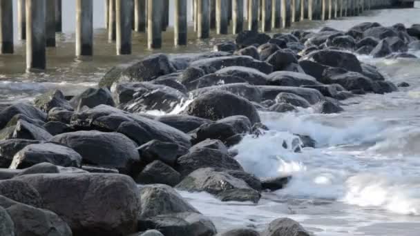 The Baltic Sea Coast in Lithuania — Stock Video