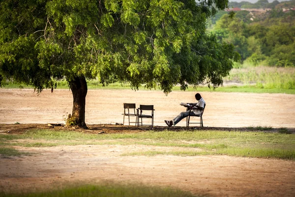 Bir ağacın altında oturan — Stok fotoğraf