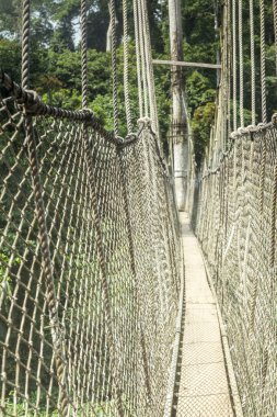 gölgelik geçit kakum Ulusal Park, Türkiye