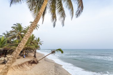 Cennet plaj gibi çok güzel