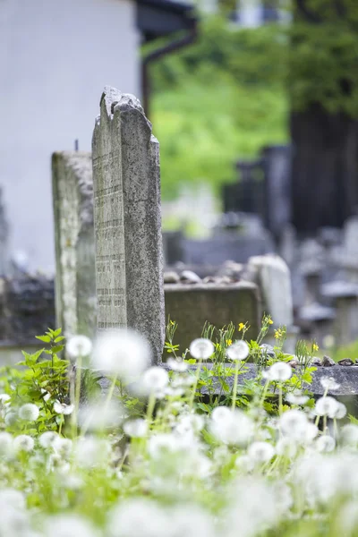 Cimitirul evreiesc — Fotografie, imagine de stoc