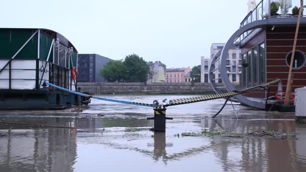 Hochwasser. — Stockvideo