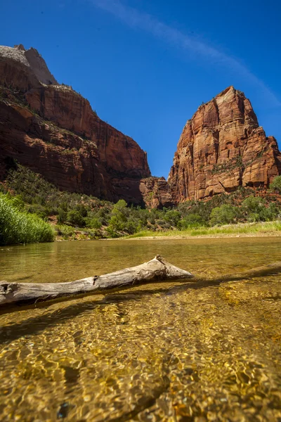 Virgin river in Zion National Park, Utah — Stock Photo, Image