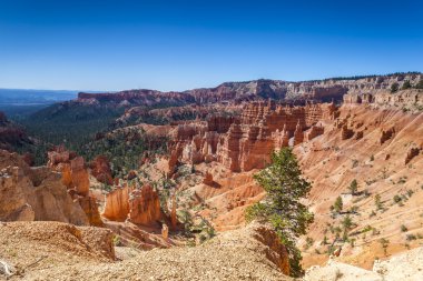 Bryce Canyon Ulusal Parkı Utah, ABD