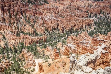 bryce canyon milli park Panoraması.