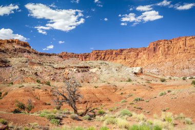 Capitol Reef National Park, usa kaya oluşumu